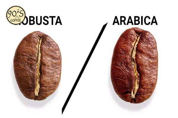 Sự khác biệt giữa Robusta và Arabica