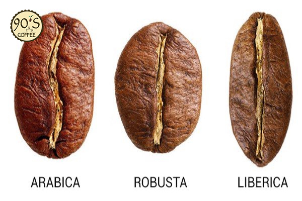 Các loại hạt cà phê trên thế giới