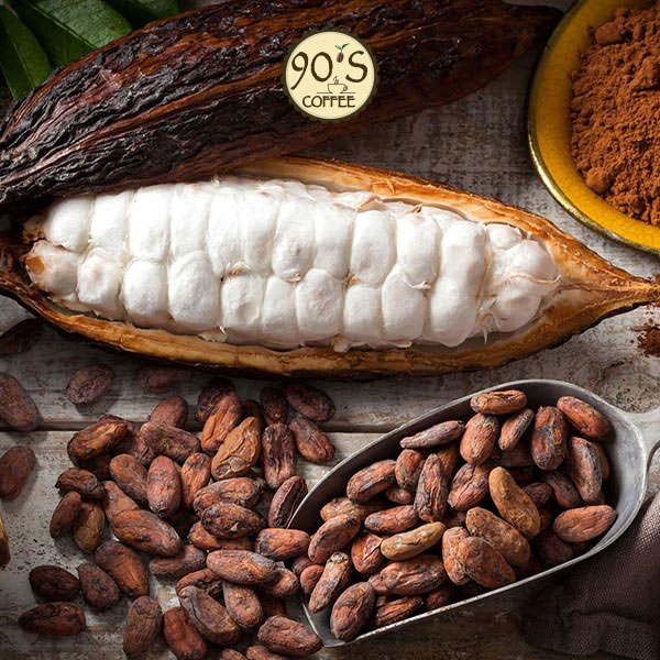 90S CACAO làm từ 100% bột cacao nguyên chất tại vườn nông sản ở Krông Pắc, Đắk Lắk.