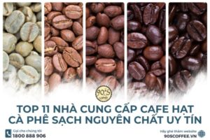TOP 11 Nhà Cung Cấp Cafe Hạt - Cà Phê Sạch Nguyên Chất Uy Tín