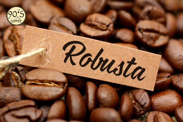 Hạt cà phê Robusta