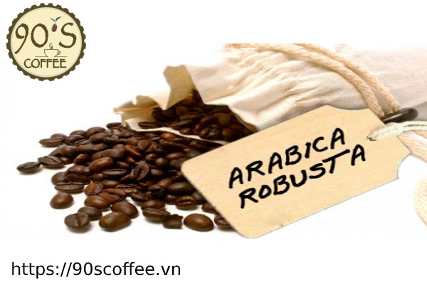 Hinh anh hat ca phe Robusta - Arabica