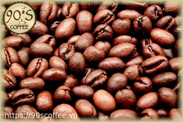 Cà phê nguyên chất ở Phú Nhuận được 90S Coffee tuyển chọn kỹ
