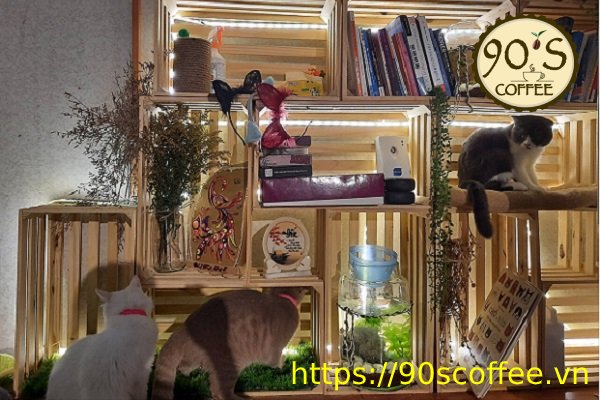 Nhung chu meo dang yeu tai ailu cat house coffee