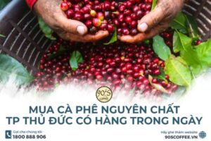 Mua Cà Phê Nguyên Chất TP Thủ Đức Có Hàng Trong Ngày | 90S Coffee