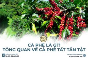 cà phê là gì