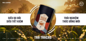 Phát động chương trình Tiên Phong Trải Nghiệm - Tiên Phong Nước Uống Mới