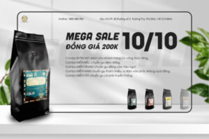 Chương trình Mega Sale 10/10