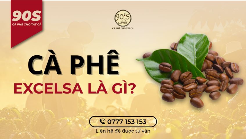 Cà phê Excelsa là gì?