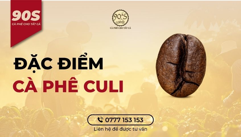 Đặc điểm cà phê Culi