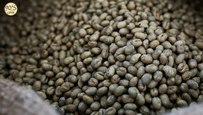 Hạt Culi Arabica