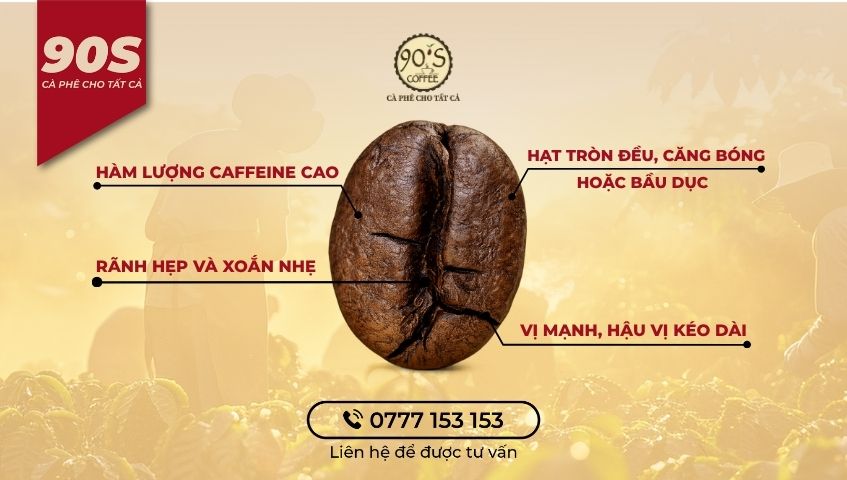 Tổng quan về đặc điểm của cà phê Culi