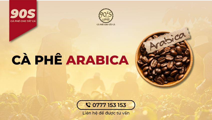 Arabica hạt cà phê nổi tiếng toàn cầu