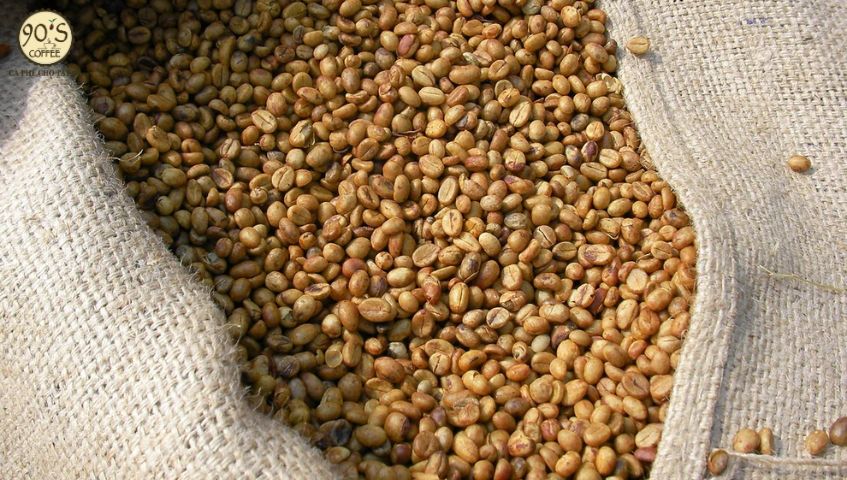 Hạt cà phê khi sơ chế bằng phương pháp Wet-Hulled