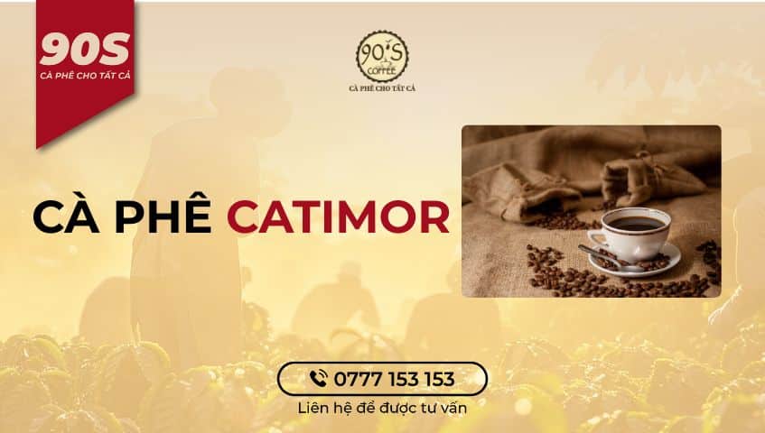 WHAT IS CATIMOR COFFEE? ORIGIN, CHARACTERISTICS, FLAVOR, AND ROLE OF ...