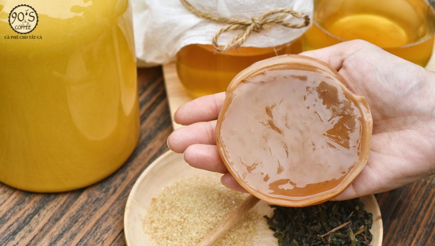 Khi Scoby hình thành sẽ có hình dạng như thế này