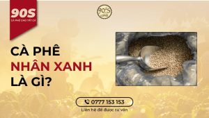 Cà phê nhân xanh là gì?