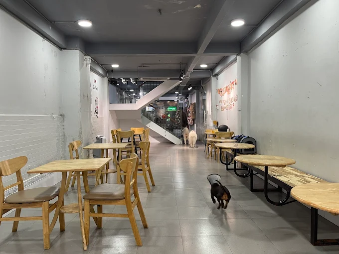 Ảnh: Cherry Pet Coffee