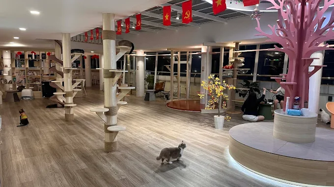 Ảnh: Méo Meo Cat Cafe