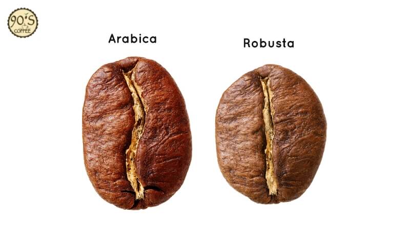 Robusta hay Arabica hợp làm Cold Brew hơn